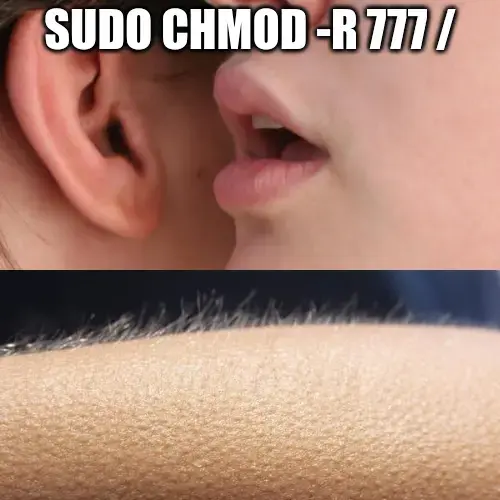 1st pane: A person whispering to another's ear, captioned "sudo chmod -R 777". 2nd pane: An arm getting goosebumps.